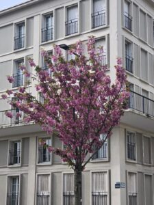 BienfaitsPourToits Le Havre